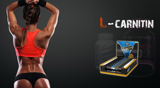 L-карнитин в спортивном питании — всё, что нужно об этом знать