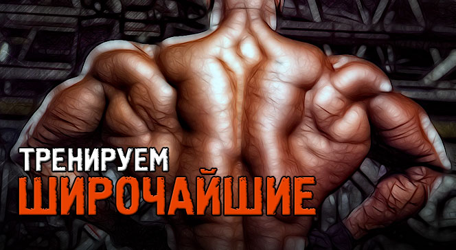 Как накачать широчайшие мышцы спины — упражнения для дома